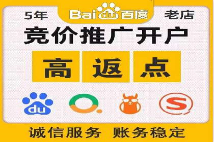 专业SEM代运营公司案例分析